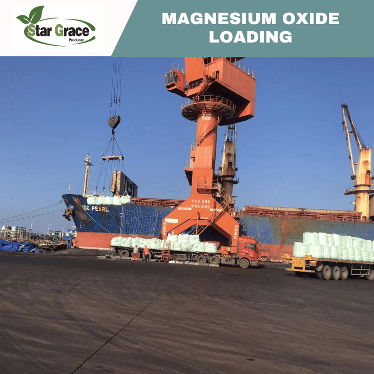 Caustic Calcined Magnesite Powder 65%