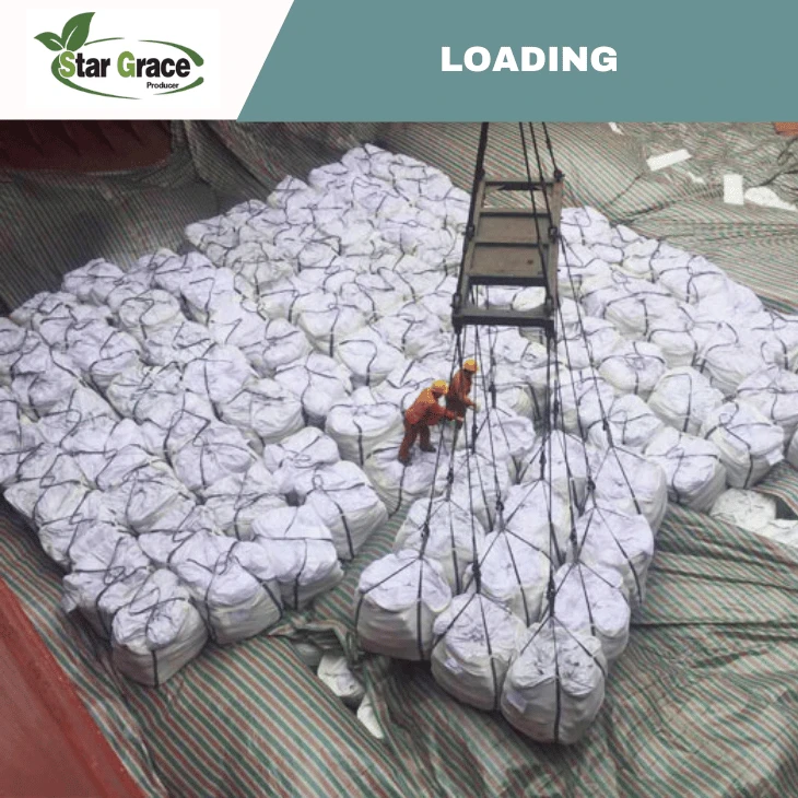 NPK Multinutrient Fertilizer